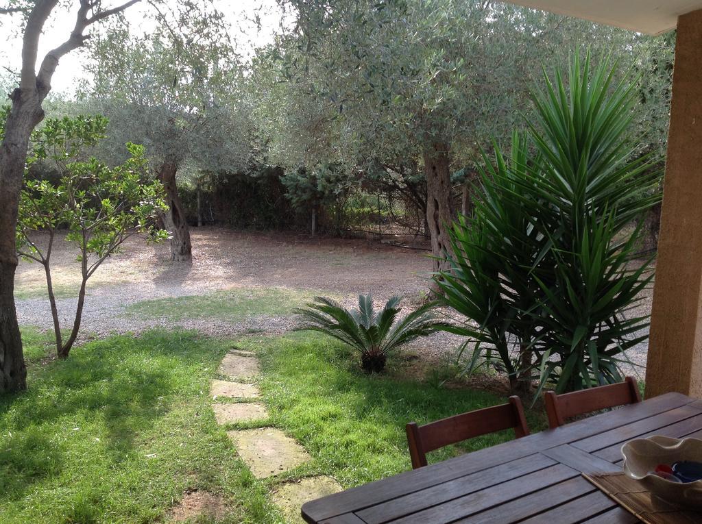 Gli Ulivi Lägenhet Alghero Rum bild