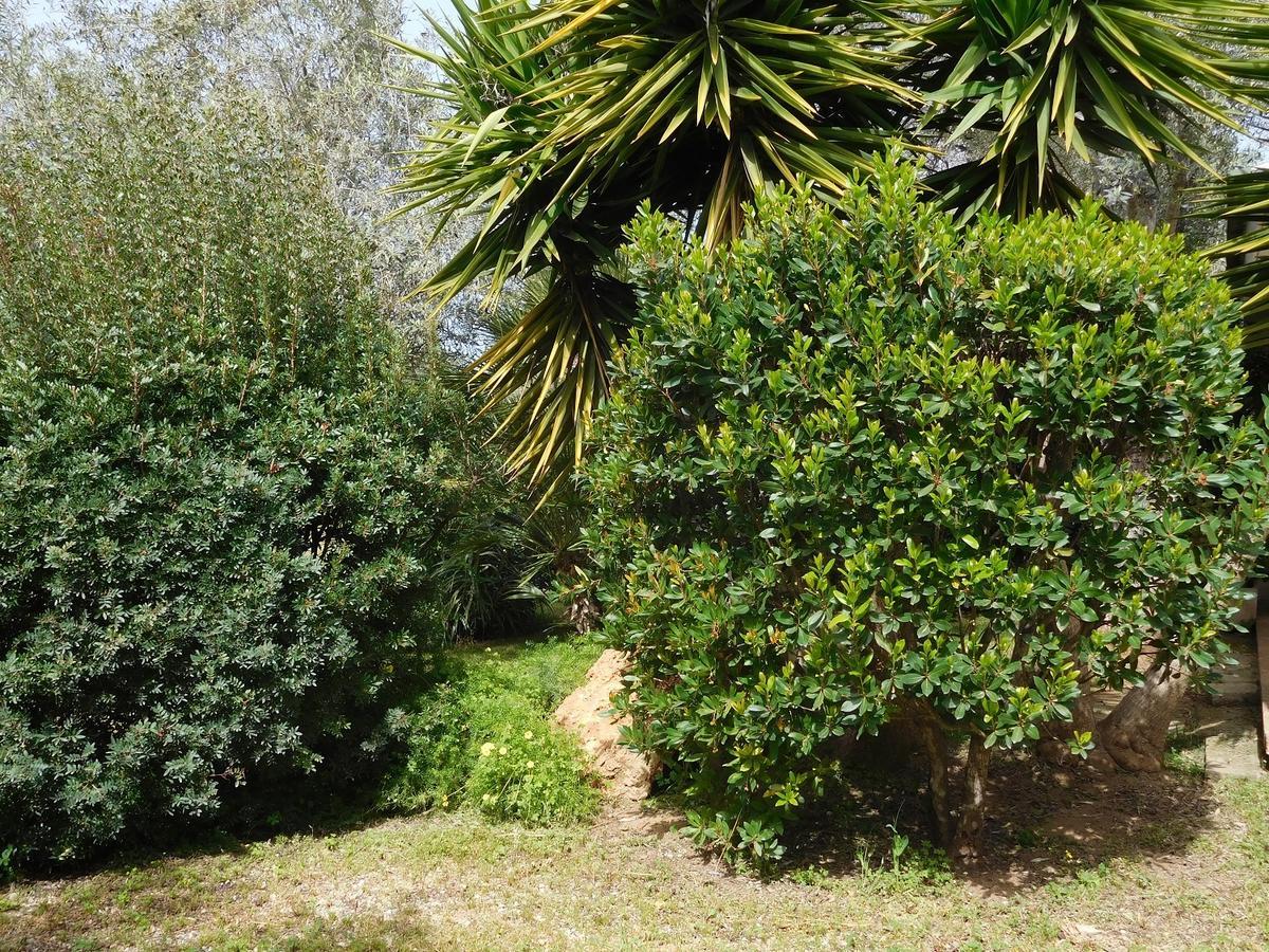 Gli Ulivi Lägenhet Alghero Exteriör bild
